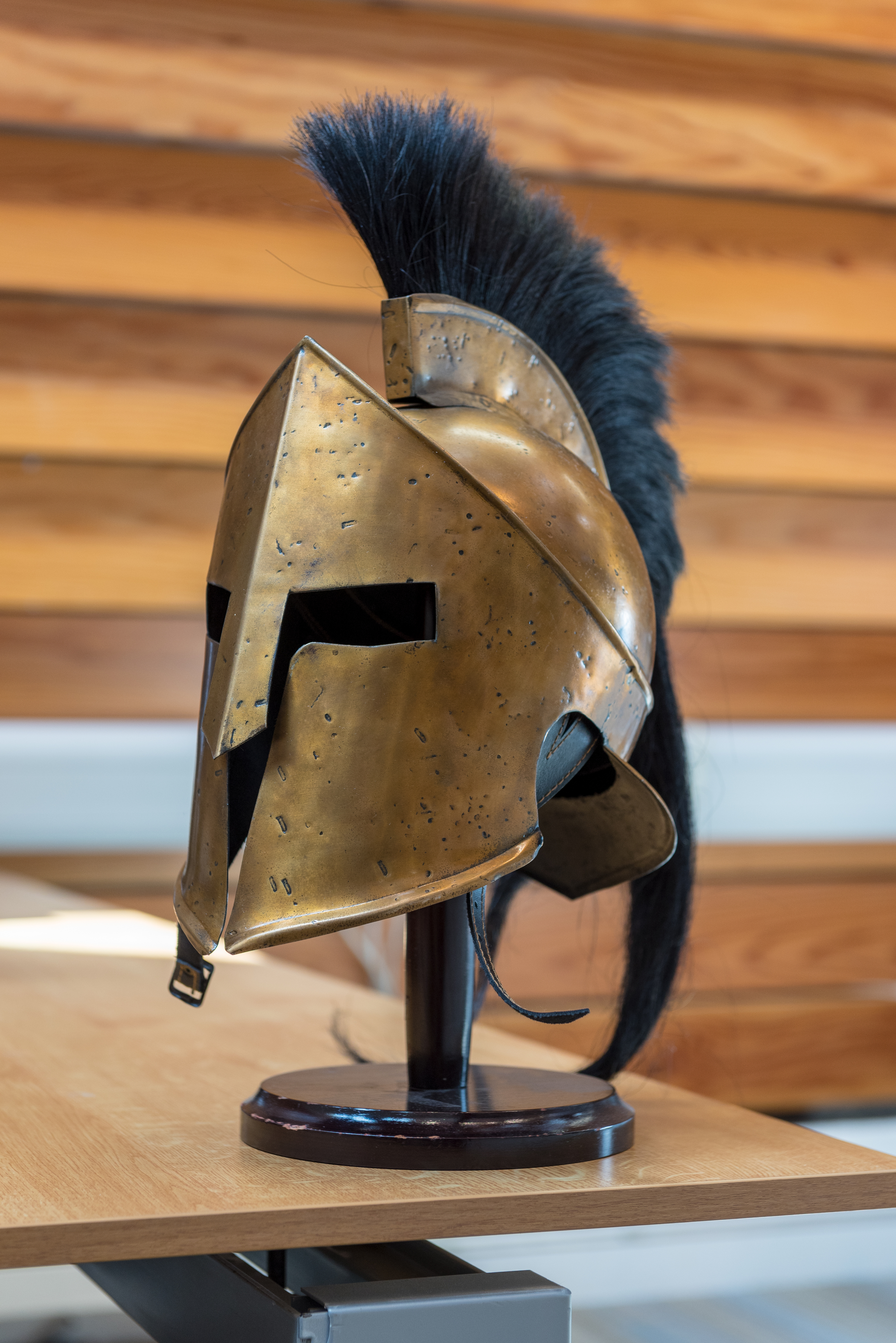 spartan helmet medium  stuart bebb  faculty of classics
